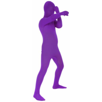 Image de PURPLE MORPHSUIT KID - LARGE 