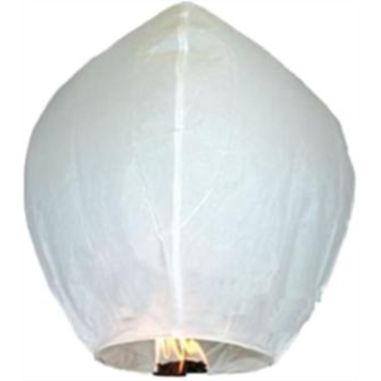 Picture of WHITE FLYING LANTERNS