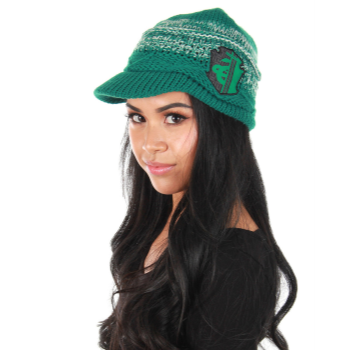 Picture of HARRY POTTER - SLYTHERIN KNIT BRIM CAP