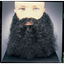 Picture of CURLY BEARD