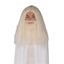 Picture of GANDALF BEARD WITH WIG - CHILD