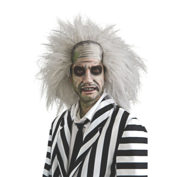 Image de BEETLEJUICE DELUXE WIG - ADULT