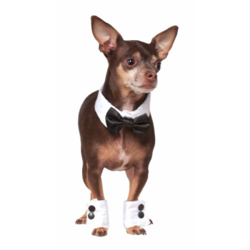 Image de TUXEDO SET - MEDIUM/LARGE