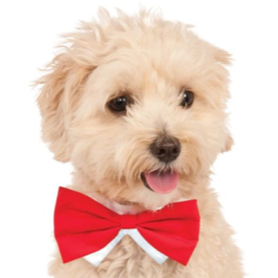 Picture of RED BOWTIE - SMALL/MEDIUM
