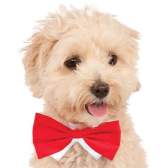 Image sur RED BOWTIE - SMALL/MEDIUM