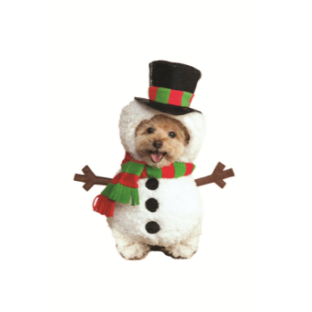 Picture of SNOWMAN - SMALL