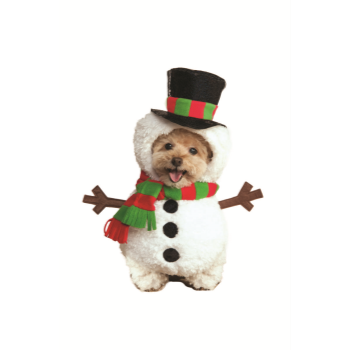 Image de SNOWMAN - SMALL