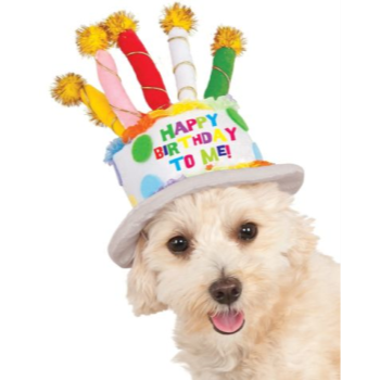 Image de BIRTHDAY CAKE HAT - SMALL/MEDIUM