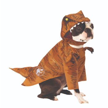 Image de TYRANNOSAURUS REX - SMALL