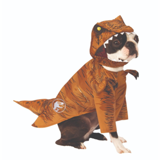 Image sur TYRANNOSAURUS REX - SMALL