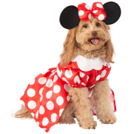 Image sur MINNIE MOUSE DOG COSTUME - MEDIUM