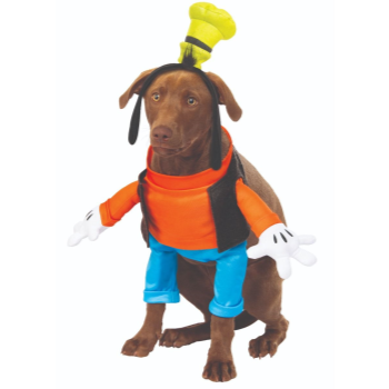 Image de GOOFY DOG COSTUME - SMALL