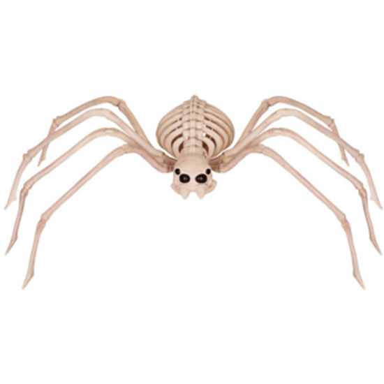 Picture of 33" SKELETON SPIDER