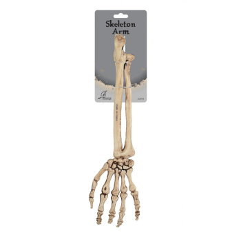 Picture of 14.5" SKELETON ARM