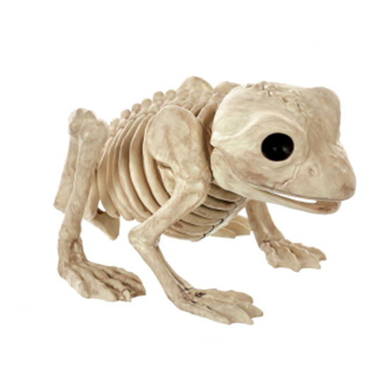 Image sur 7" LG SKELETON FROG