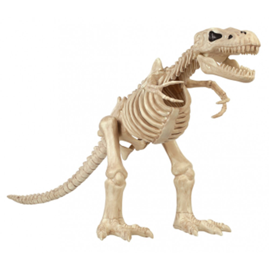 Picture of 16" T REX SKELETON