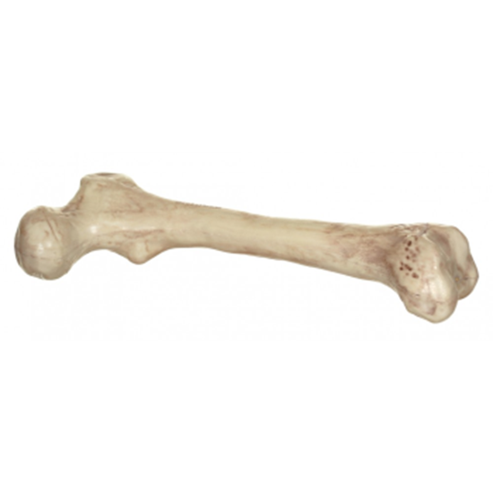 Image sur 9" SKELETON BONE