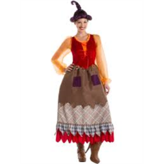 Picture of HOCUS POCUS WITCH DRESS - GOOFY WOMENS LG
