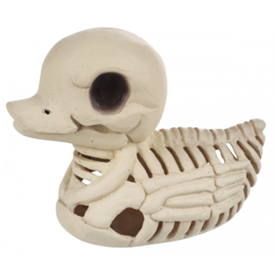 Image sur 5" SKELETON DUCK