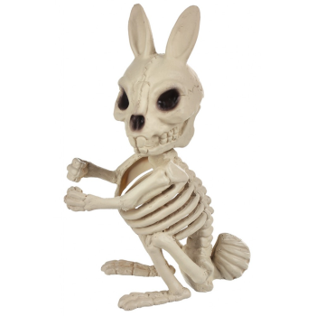 Image de 6" BUNNY SKELETON