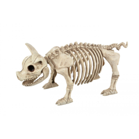 Picture of 14" STANDING PIG SKELETON
