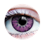 Picture of ENCHANTED LILAC - CONTACT LENSES 