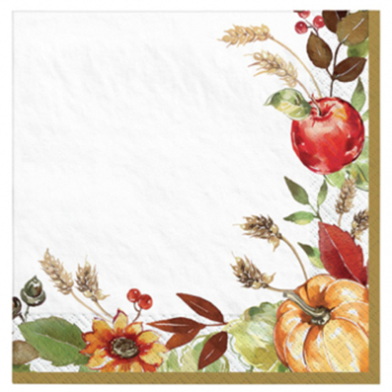 Picture of GRATEFUL DAY - BEVERAGE NAPKIN MID-CT