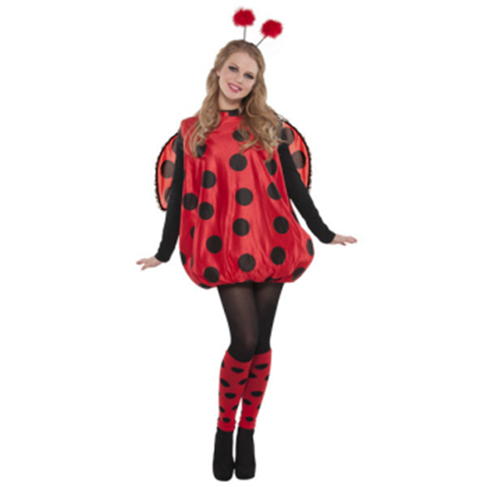 Image sur DARLING BUG - ADULT STANDARD