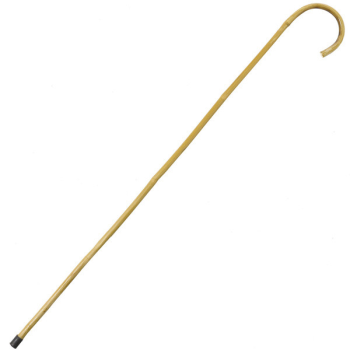 Image de CANE - BAMBOO