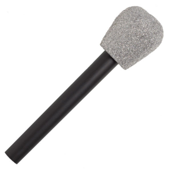 Image sur MICROPHONE - GLITTER