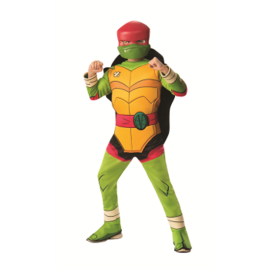 Image sur TMNT - DELUXE RAPHAEL - SMALL