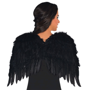 Image de ANGEL - BLACK FEATHER WINGS