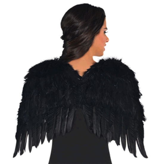 Picture of ANGEL - BLACK FEATHER WINGS