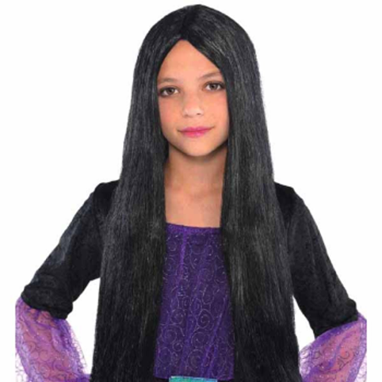 Picture of WIG - WITCH CHILD WIG