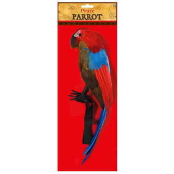 Image de PIRATE PARROT