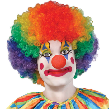 Image de CLOWN JUMBO WIG