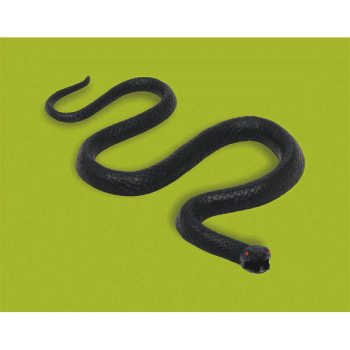 Picture of 9'' SNAKE