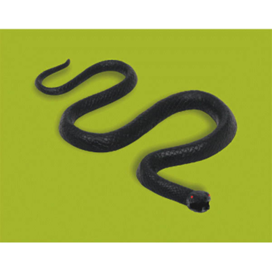 Image sur 9'' SNAKE