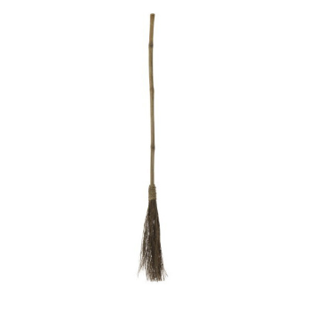 Image de WITCH BROOM - STRAW 