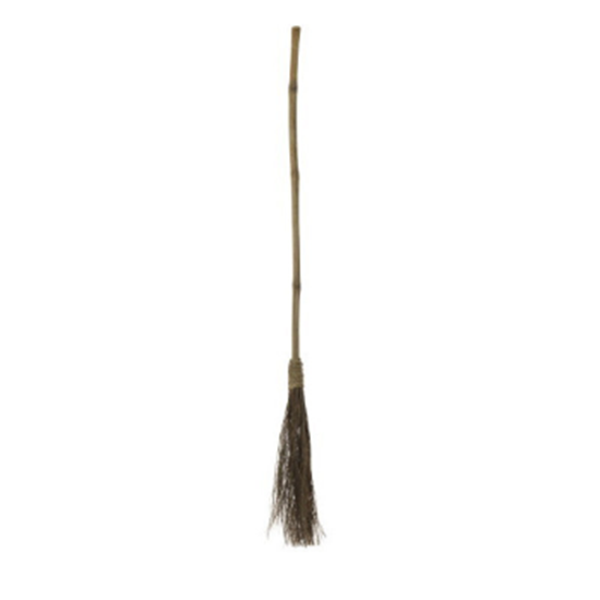 Image sur WITCH BROOM - STRAW 