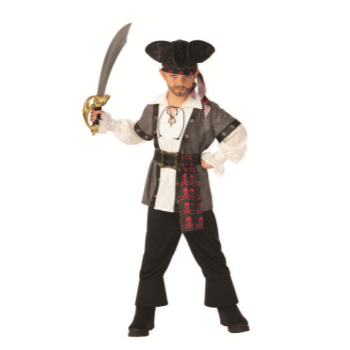 Picture of PIRATE - SMALL
