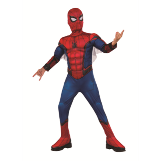 Image sur DELUXE SPIDERMAN FAR FROM HOME - SMALL