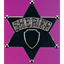 Picture of WESTERN SHERIFF BADGE 7''
