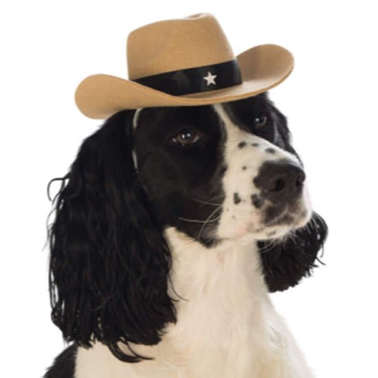 Image sur COWBOY HAT - SMALL/MEDIUM