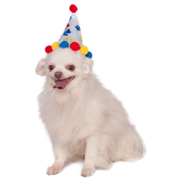 Image de PAW PRINT BIRTHDAY HAT - SMALL/MEDIUM