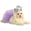 Image de SILVER TIARA - SMALL/MEDIUM
