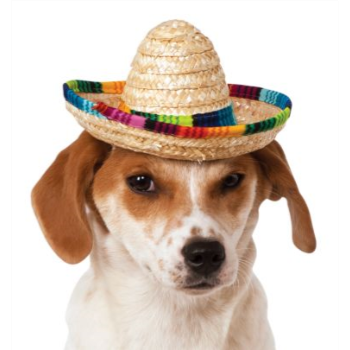 Image de SOMBRERO MULTICOLOUR - SMALL/MEDIUM