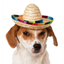 Picture of SOMBRERO MULTICOLOUR - MEDIUM/LARGE