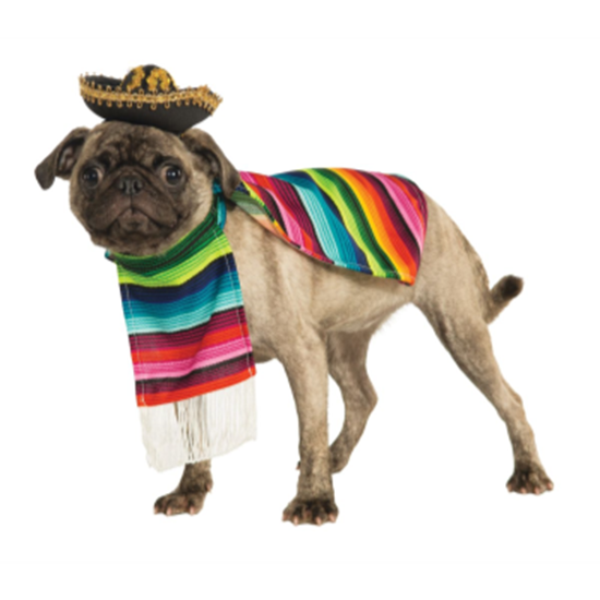 Image sur MEXICAN SERAPE WITH HAT - SMALL