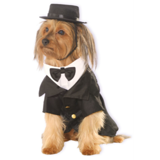 Picture of DAPPER DOG - LARGE